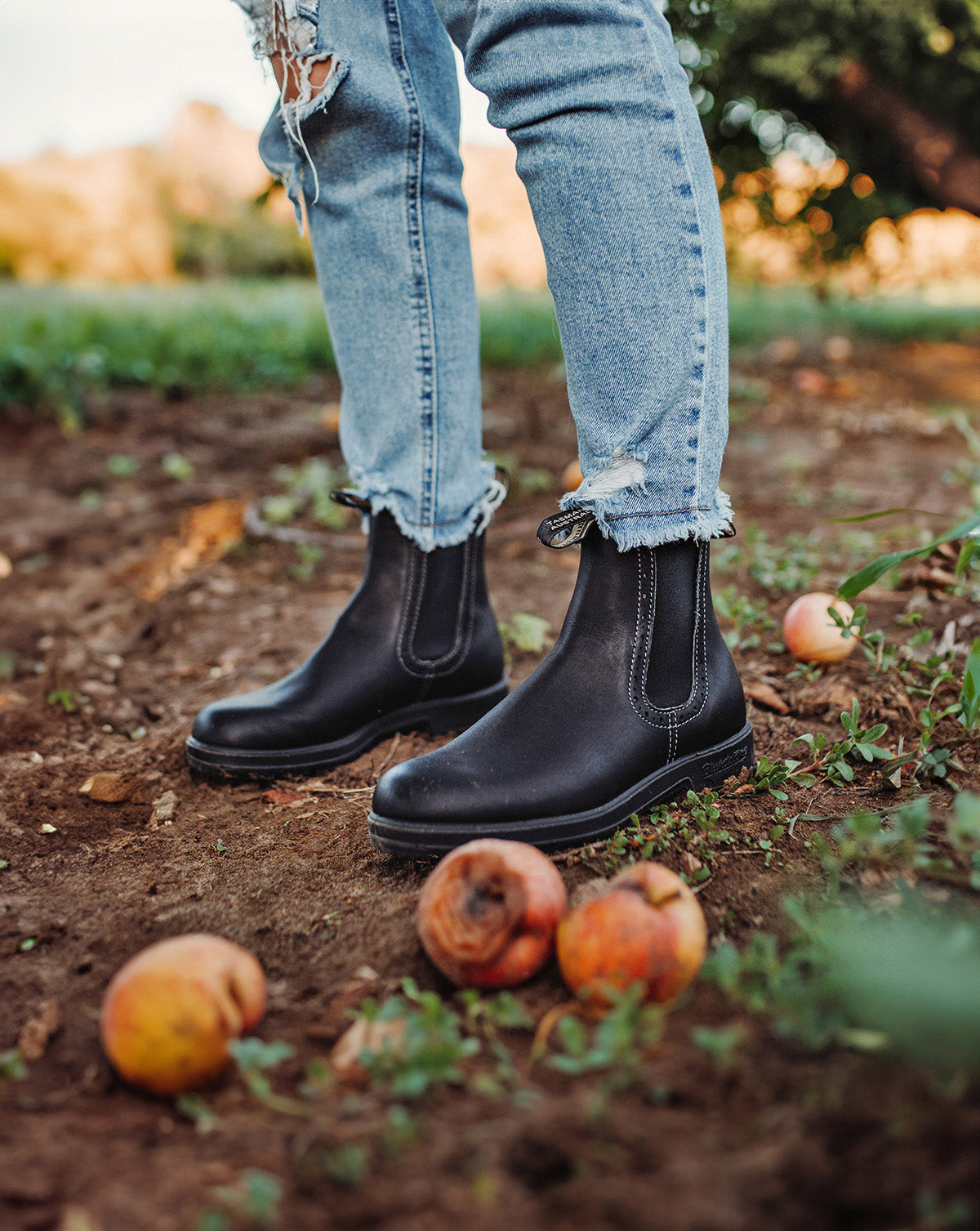 Blundstone 1448 Girlfriend Women's High Top Boot