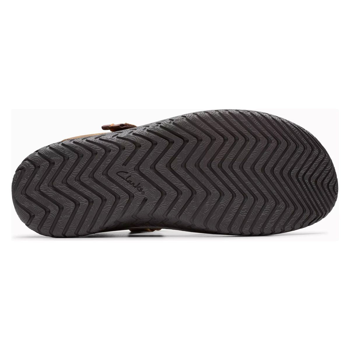 Wesley Shore Men's Sandal