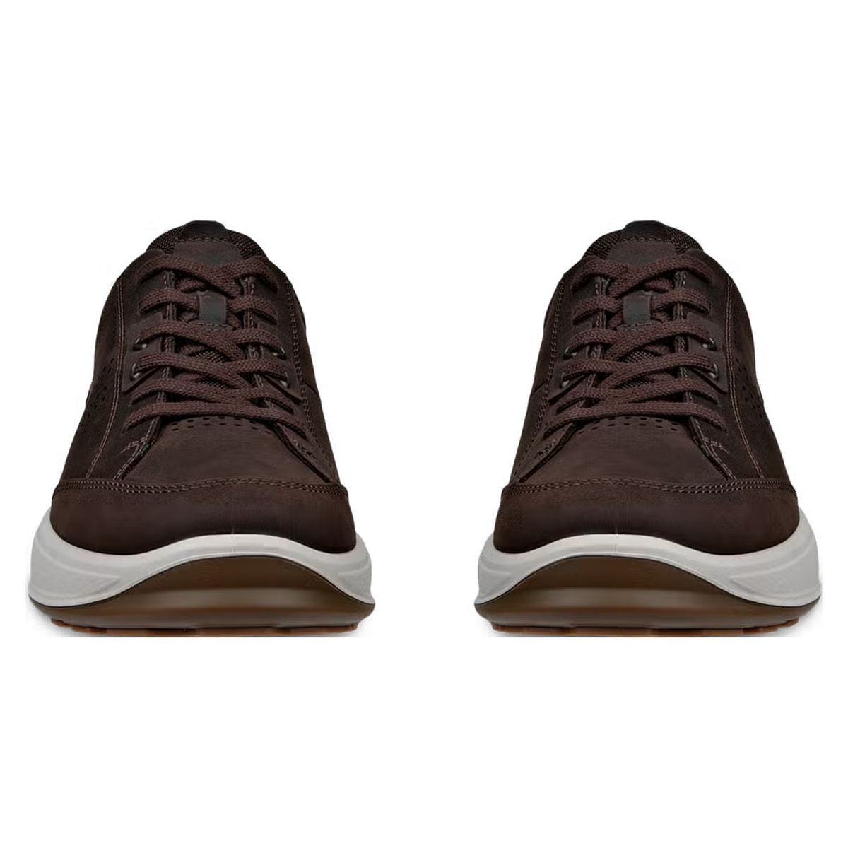 Ecco Byway 2.0 Men's Waterproof Shoe in Brown