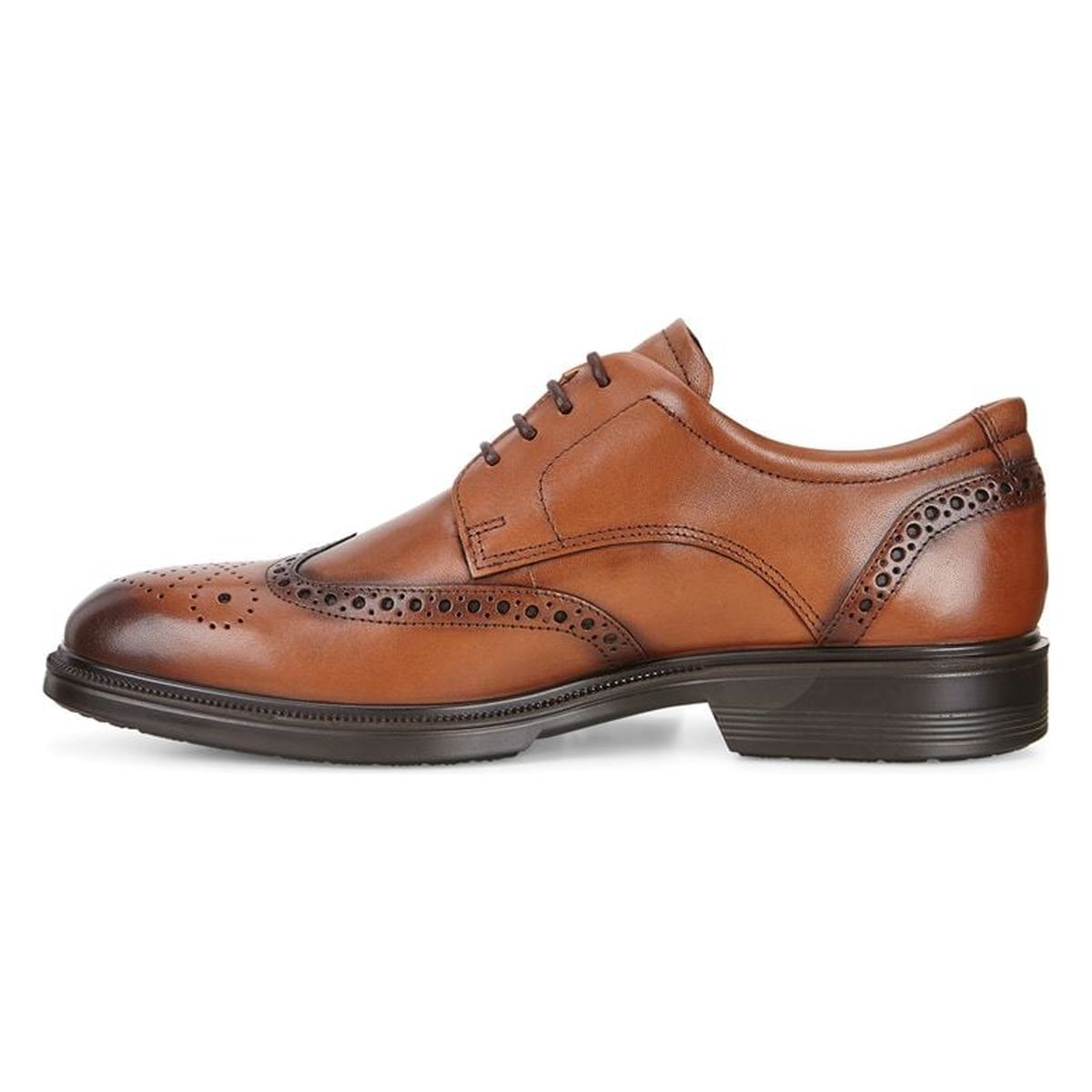 Ecco Lisbon Brogue Men's Shoe in Amber
