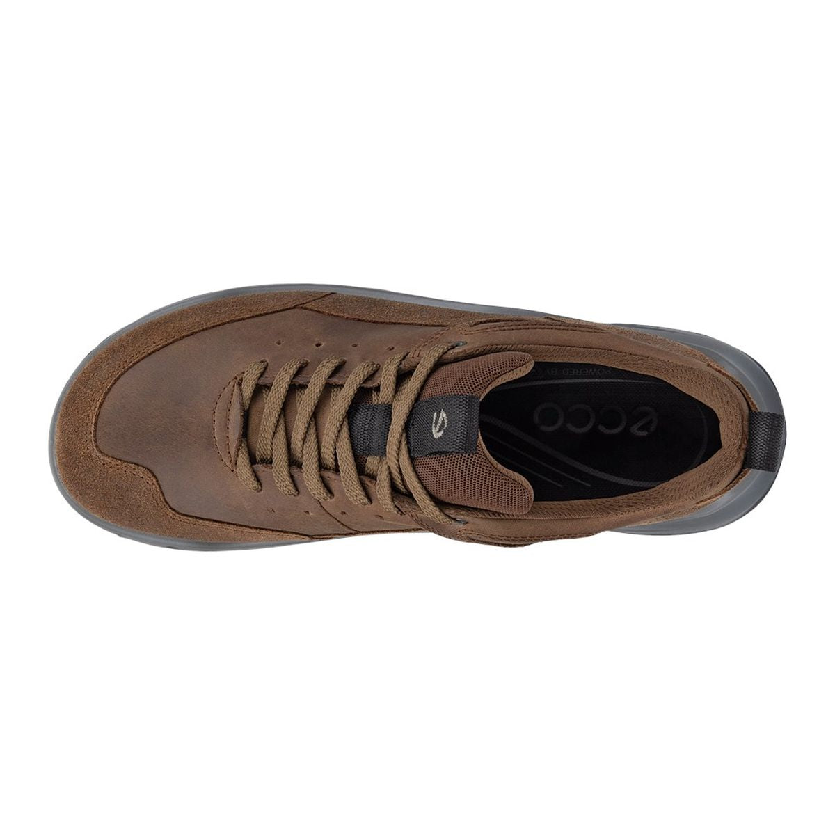 Ecco Men's Offroad Outdoor Shoe