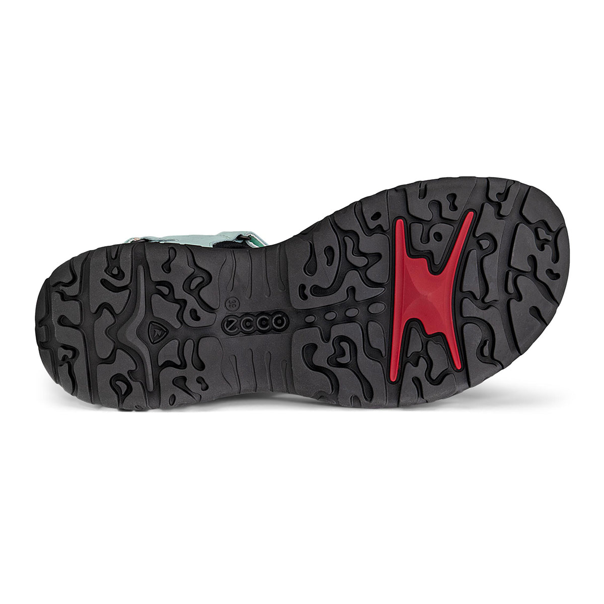 Offroad Roam Women's Sandal