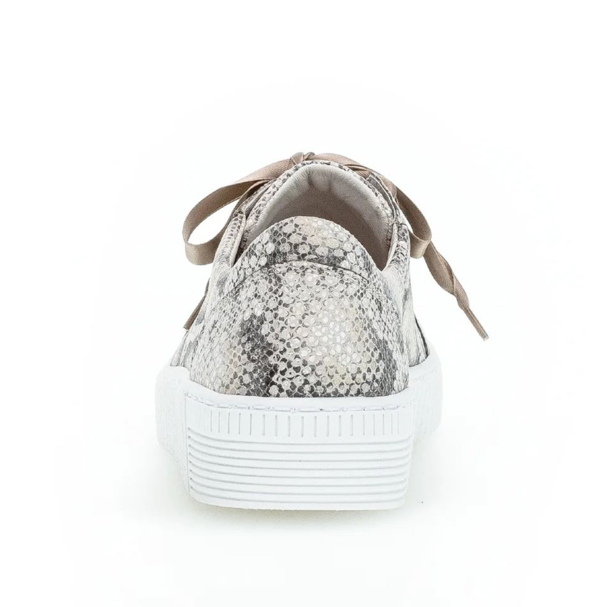 43.330.30 Laced Snake Print Sneakers