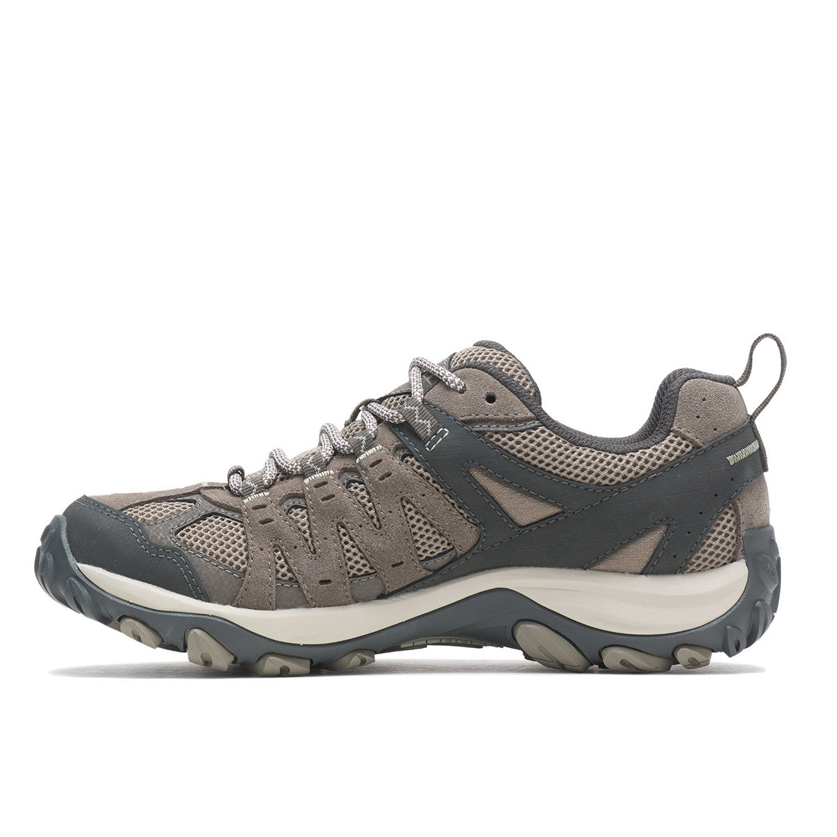 Women's Accentor 3 in Brindle
