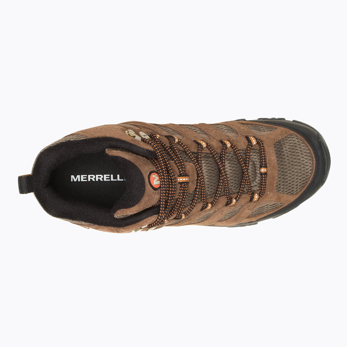 Men's Moab 3 Mid Waterproof in Earth