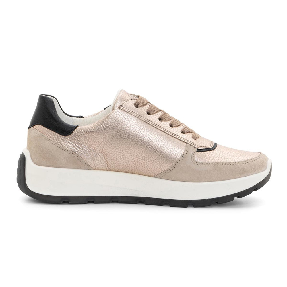 Ara Nagano Women's Lace Sneaker in Sand Black