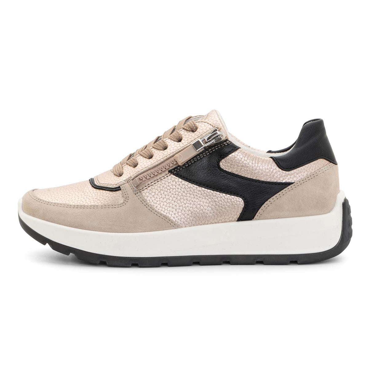 Ara Nagano Women's Lace Sneaker in Sand Black