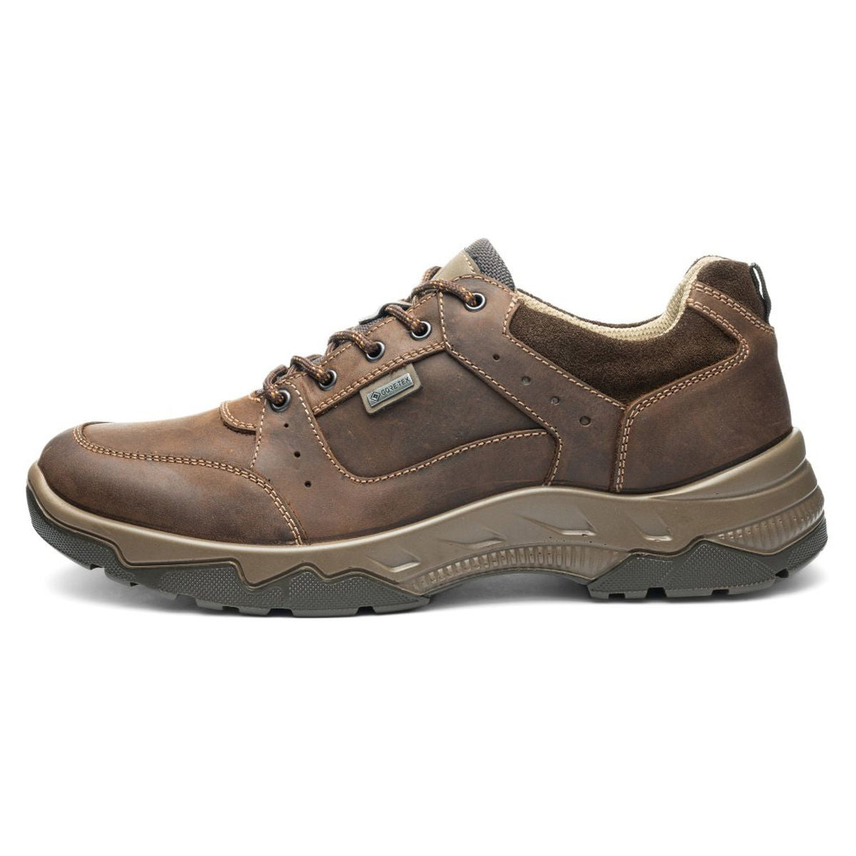 Ara Rheingau Mens Gore-Tex Shoe Brown - Walking on a Cloud