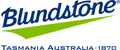 Bludstone brand logo