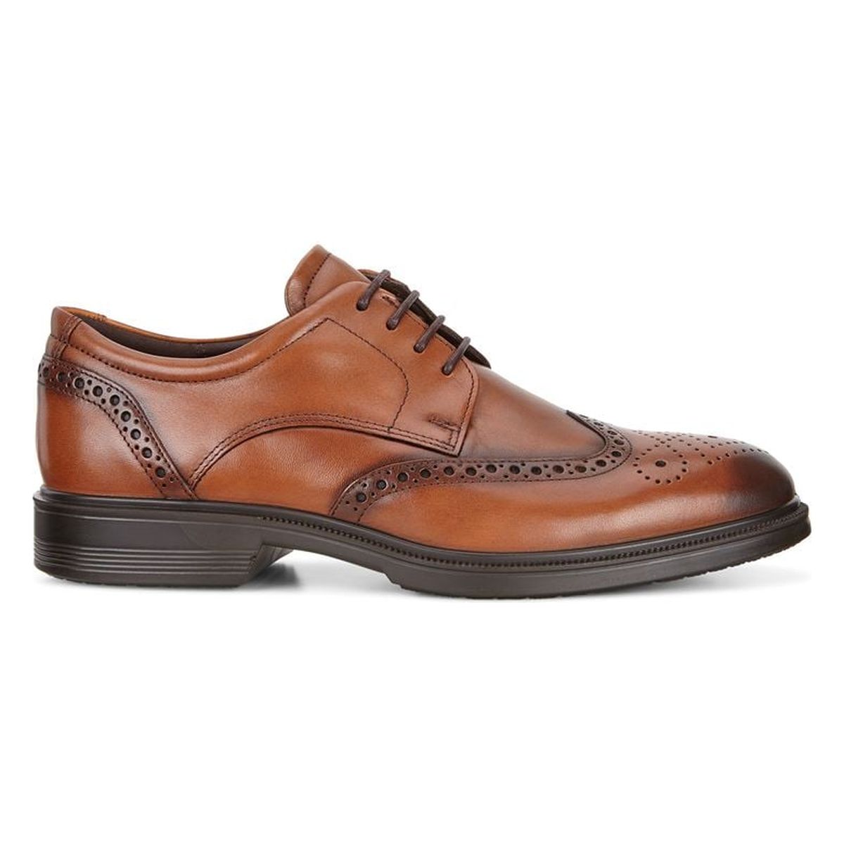 Ecco Lisbon Brogue Men's Shoe in Amber