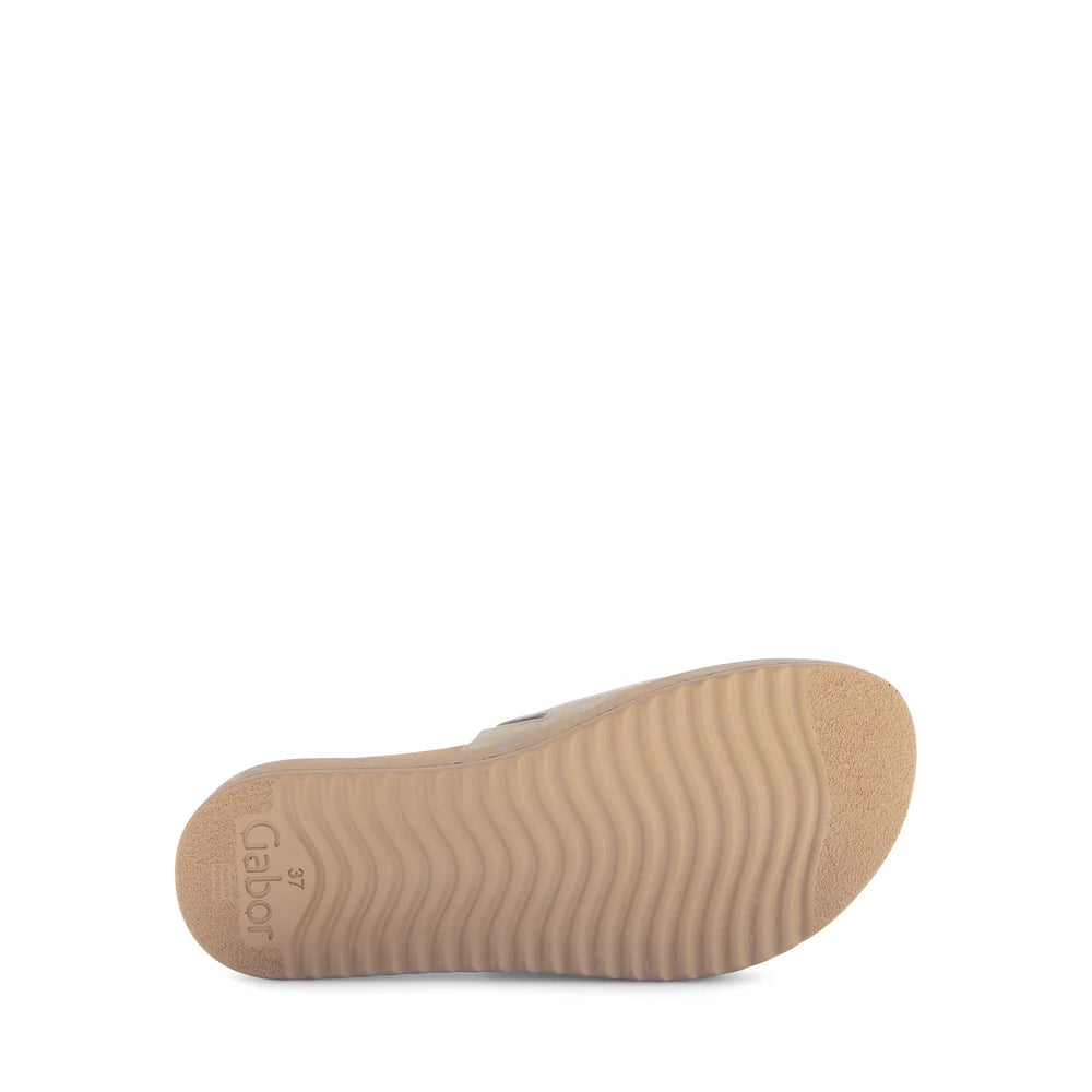 Gabor 760.12 Buckle Slide in Oak/Champagne