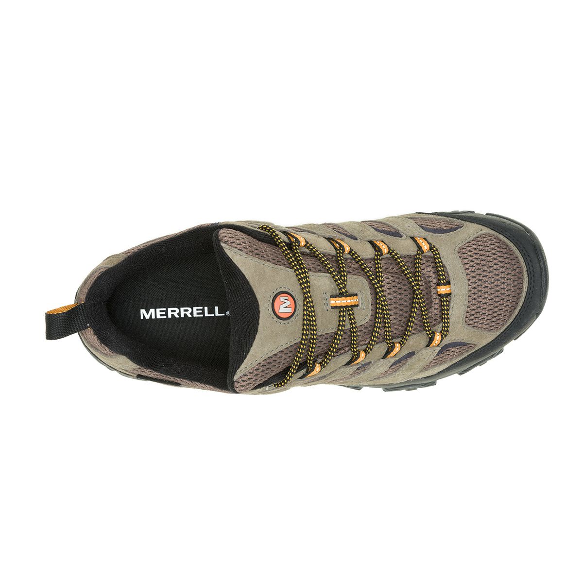Merrell Men's Moab 3 Waterproof Wide in Walnut