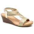 S5577 Dress Wedge Sandal in Gold